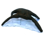 Highslide JS